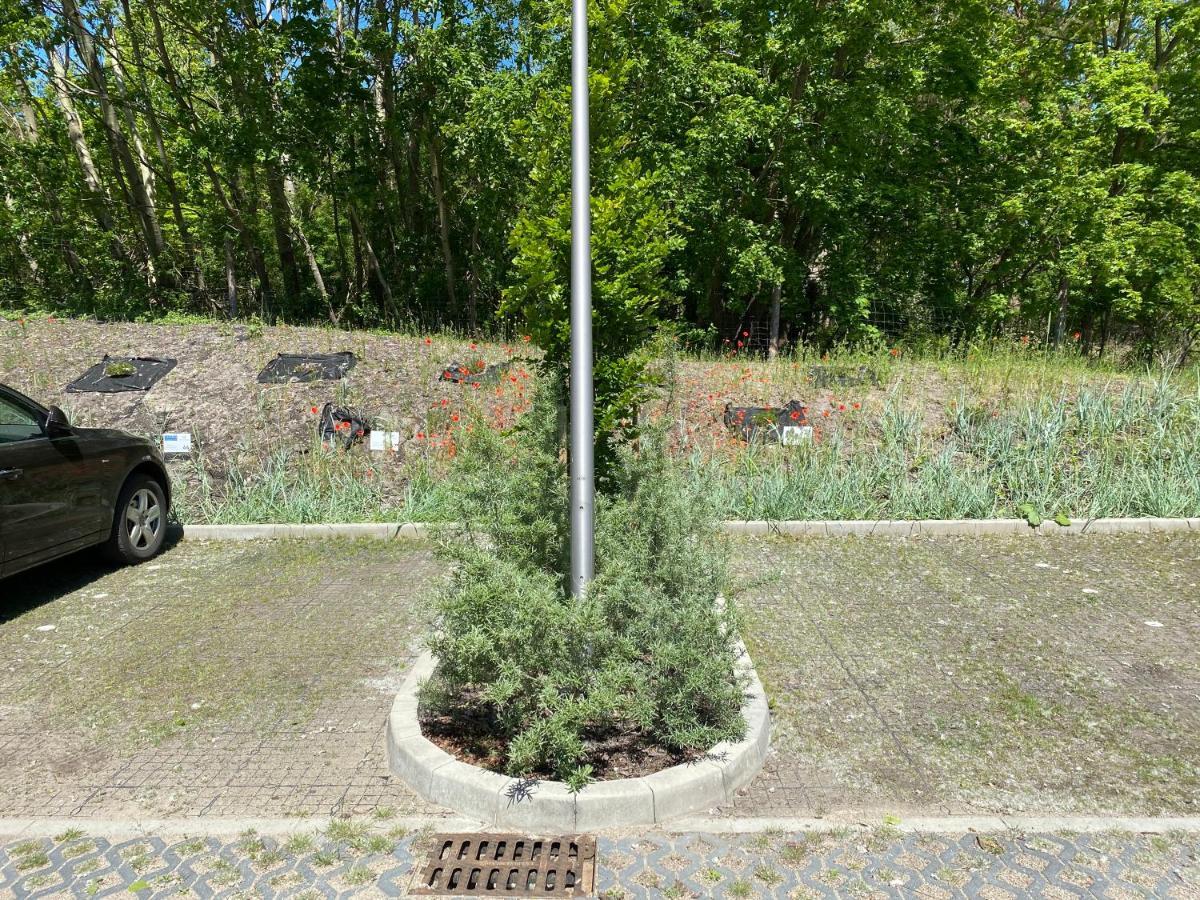 Apartpark Albus1 Świnoujście Esterno foto